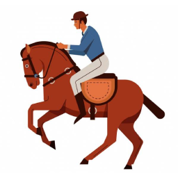 Horse Riding Equipments